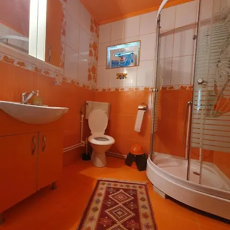 Pensiunea Cla Guest house Albac